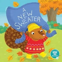 A New Sweater
